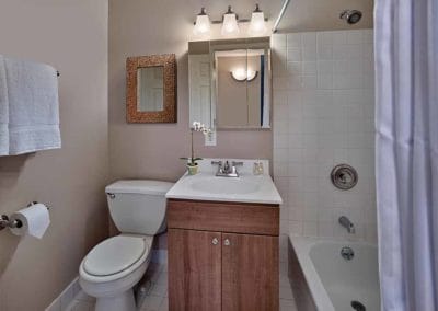 Cozy bathroom with vanity sink and tiled bathtub
