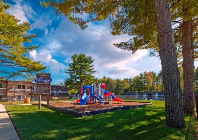 Colorful playground on sunny day surrounded by tall trees and grassy grounds