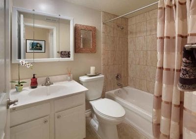 Bathroom at Martlon, NJ apartments with beautiful tiled shower and large white vanity sink